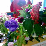 Выставка цветов 2008
